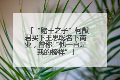 “赌王之子”何猷君买下王思聪名下商业，曾称“他一直是我的榜样”