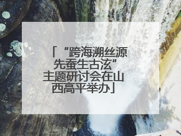 “跨海溯丝源 先蚕生古泫”主题研讨会在山西高平举办