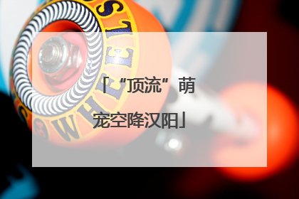 “顶流”萌宠空降汉阳