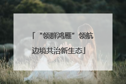 “领群鸿雁”领航边境共治新生态