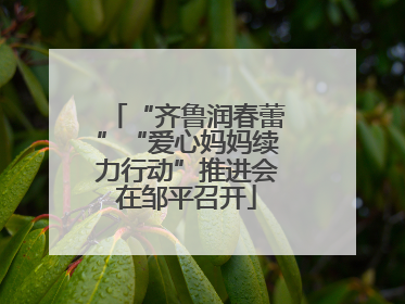“齐鲁润春蕾”“爱心妈妈续力行动”推进会在邹平召开