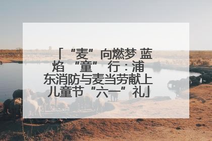 “麦”向燃梦 蓝焰 “童” 行：浦东消防与麦当劳献上儿童节“六一”礼