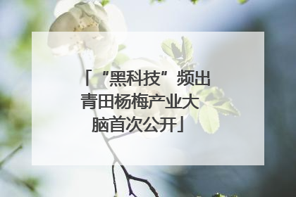 “黑科技”频出 青田杨梅产业大脑首次公开