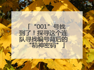 “001”号找到了！探寻这个连队寻找编号背后的“精神密码”