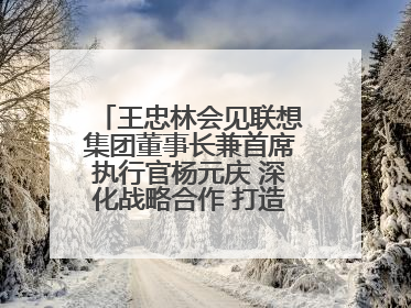 王忠林会见联想集团董事长兼首席执行官杨元庆 深化战略合作 打造世界级光电子信息产业集群