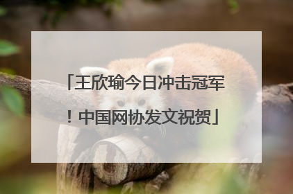 王欣瑜今日冲击冠军！中国网协发文祝贺