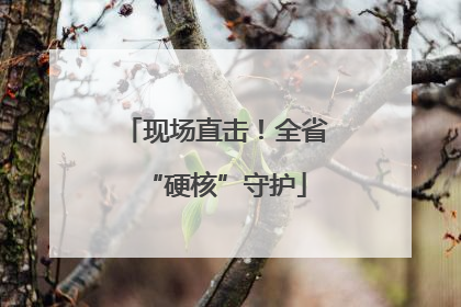 现场直击！全省“硬核”守护