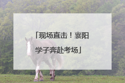 现场直击！襄阳学子奔赴考场