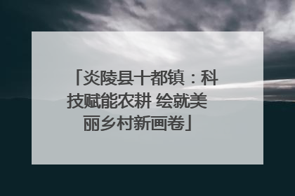 炎陵县十都镇：科技赋能农耕 绘就美丽乡村新画卷