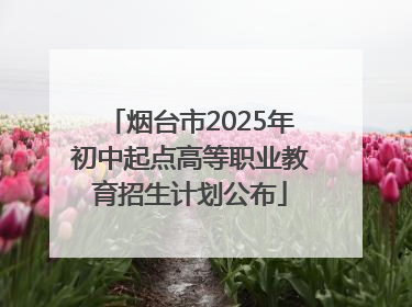 烟台市2025年初中起点高等职业教育招生计划公布