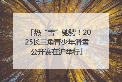 热“雪”驰骋！2025长三角青少年滑雪公开赛在沪举行