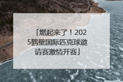 燃起来了！2025鹤壁国际匹克球邀请赛激情开赛