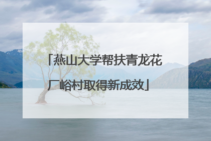 燕山大学帮扶青龙花厂峪村取得新成效