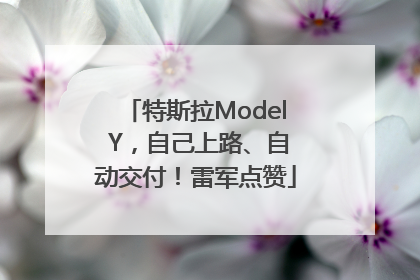 特斯拉Model Y，自己上路、自动交付！雷军点赞