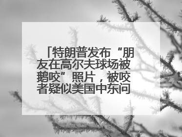 特朗普发布“朋友在高尔夫球场被鹅咬”照片，被咬者疑似美国中东问题特使