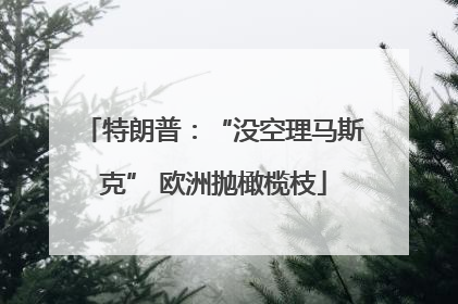 特朗普：“没空理马斯克” 欧洲抛橄榄枝