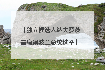 独立候选人纳夫罗茨基赢得波兰总统选举