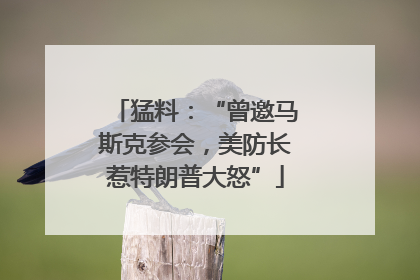 猛料：“曾邀马斯克参会，美防长惹特朗普大怒”