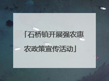 石桥镇开展强农惠农政策宣传活动