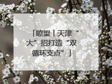 瞭望丨天津“大”招打造“双循环支点”