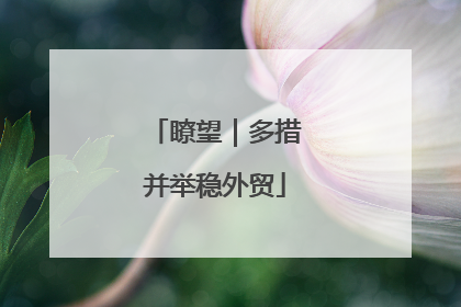 瞭望｜多措并举稳外贸