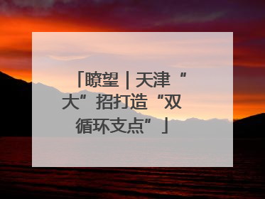 瞭望｜天津“大”招打造“双循环支点”