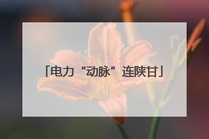 电力“动脉”连陕甘