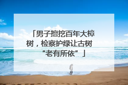男子擅挖百年大樟树，检察护绿让古树“老有所依”