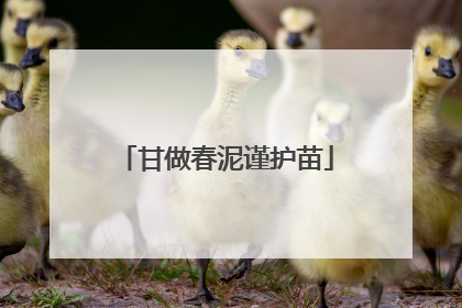 甘做春泥谨护苗