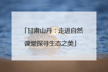甘肃山丹：走进自然课堂探寻生态之美