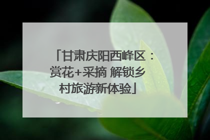 甘肃庆阳西峰区：赏花+采摘 解锁乡村旅游新体验