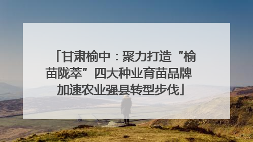 甘肃榆中：聚力打造“榆苗陇萃”四大种业育苗品牌 加速农业强县转型步伐
