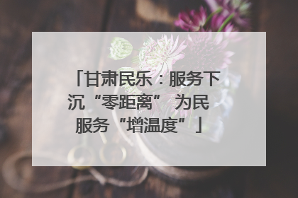 甘肃民乐：服务下沉“零距离” 为民服务“增温度”