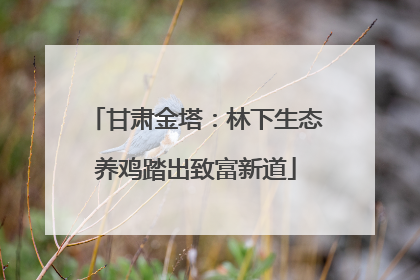 甘肃金塔：林下生态养鸡踏出致富新道