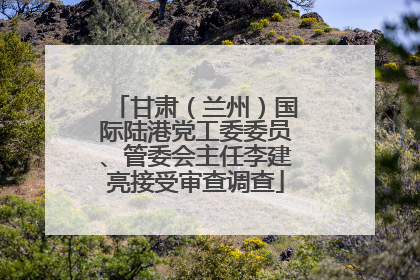 甘肃（兰州）国际陆港党工委委员、管委会主任李建亮接受审查调查