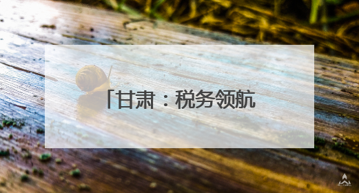 甘肃：税务领航 助企合规前行