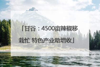 甘谷：4500亩辣椒移栽忙 特色产业助增收