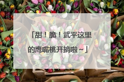 甜！脆！武平这里的鹰嘴桃开摘啦～