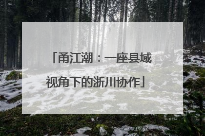 甬江潮：一座县域视角下的浙川协作