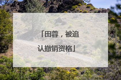田蓉，被追认撤销资格