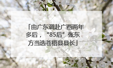 由广东调赴广西两年多后，“85后”张东方当选苍梧县县长