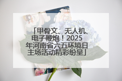 甲骨文、无人机、电子鞭炮！2025年河南省六五环境日主场活动精彩纷呈