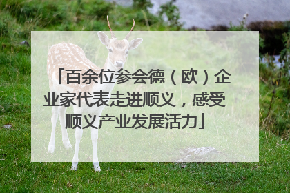 百余位参会德（欧）企业家代表走进顺义，感受顺义产业发展活力