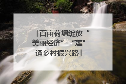 百亩荷塘绽放“美丽经济”“莲”通乡村振兴路