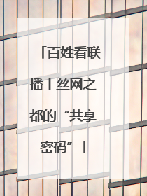 百姓看联播丨丝网之都的“共享密码”