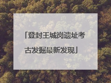 登封王城岗遗址考古发掘最新发现