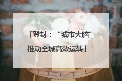 登封：“城市大脑”推动全城高效运转