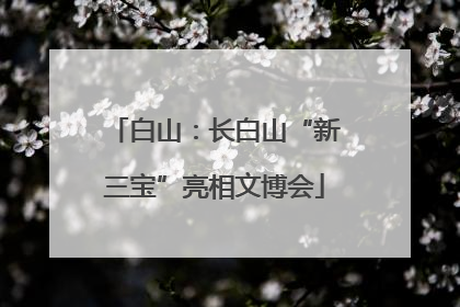 白山：长白山“新三宝”亮相文博会