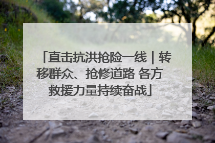 直击抗洪抢险一线｜转移群众、抢修道路 各方救援力量持续奋战