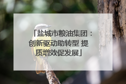 盐城市粮油集团：创新驱动助转型 提质增效促发展